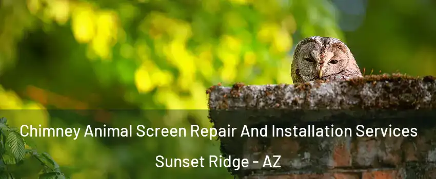 Chimney Animal Screen Repair And Installation Services Sunset Ridge - AZ