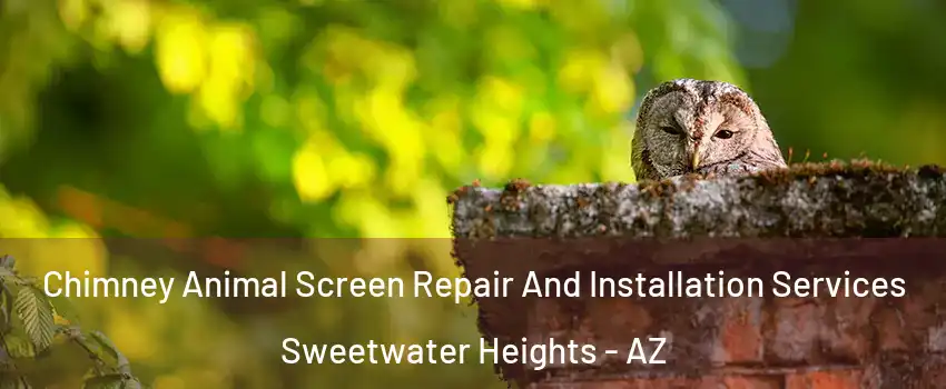 Chimney Animal Screen Repair And Installation Services Sweetwater Heights - AZ