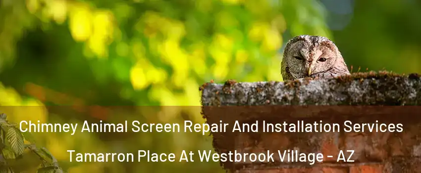 Chimney Animal Screen Repair And Installation Services Tamarron Place At Westbrook Village - AZ