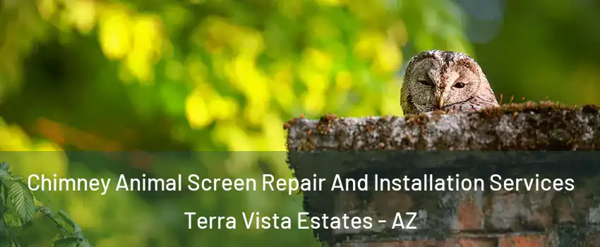 Chimney Animal Screen Repair And Installation Services Terra Vista Estates - AZ