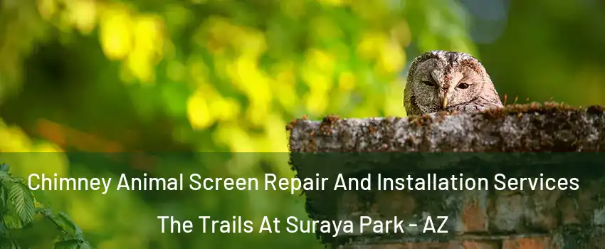 Chimney Animal Screen Repair And Installation Services The Trails At Suraya Park - AZ