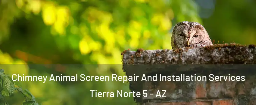 Chimney Animal Screen Repair And Installation Services Tierra Norte 5 - AZ