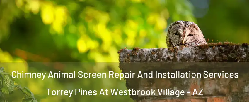Chimney Animal Screen Repair And Installation Services Torrey Pines At Westbrook Village - AZ