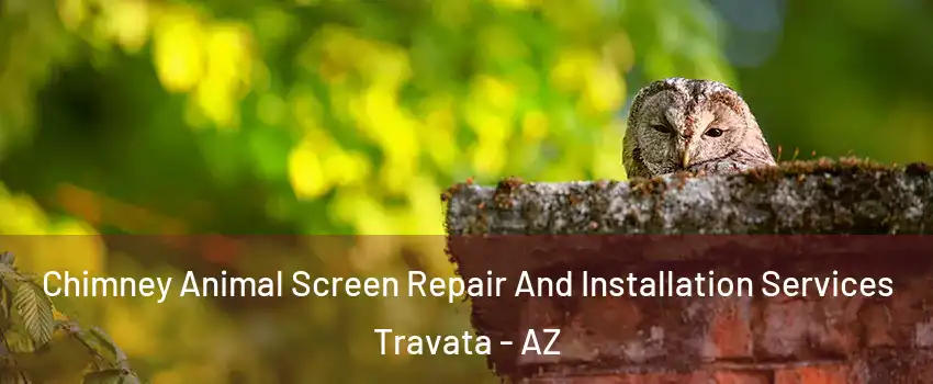 Chimney Animal Screen Repair And Installation Services Travata - AZ