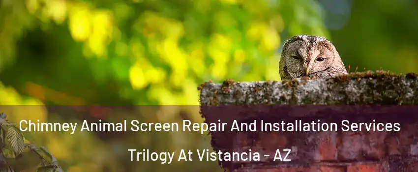 Chimney Animal Screen Repair And Installation Services Trilogy At Vistancia - AZ