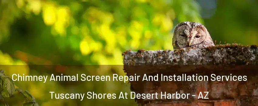 Chimney Animal Screen Repair And Installation Services Tuscany Shores At Desert Harbor - AZ