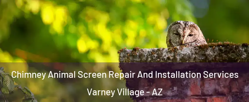 Chimney Animal Screen Repair And Installation Services Varney Village - AZ