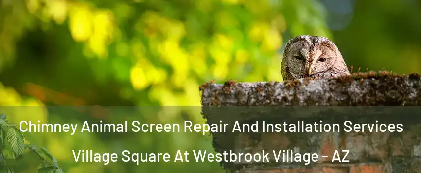 Chimney Animal Screen Repair And Installation Services Village Square At Westbrook Village - AZ