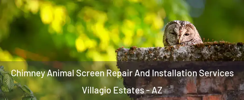 Chimney Animal Screen Repair And Installation Services Villagio Estates - AZ