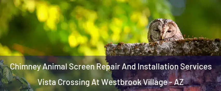 Chimney Animal Screen Repair And Installation Services Vista Crossing At Westbrook Village - AZ