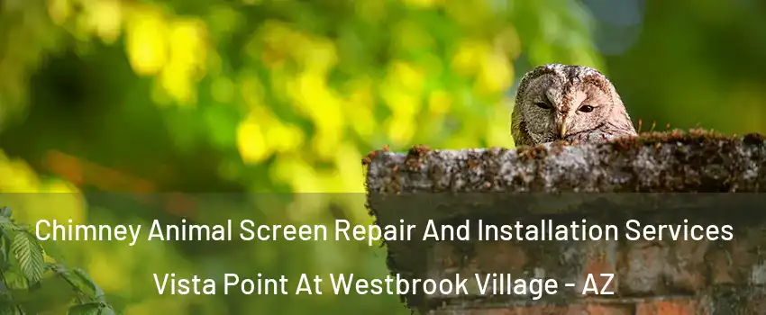 Chimney Animal Screen Repair And Installation Services Vista Point At Westbrook Village - AZ