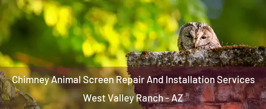 Chimney Animal Screen Repair And Installation Services West Valley Ranch - AZ