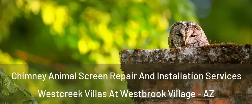 Chimney Animal Screen Repair And Installation Services Westcreek Villas At Westbrook Village - AZ