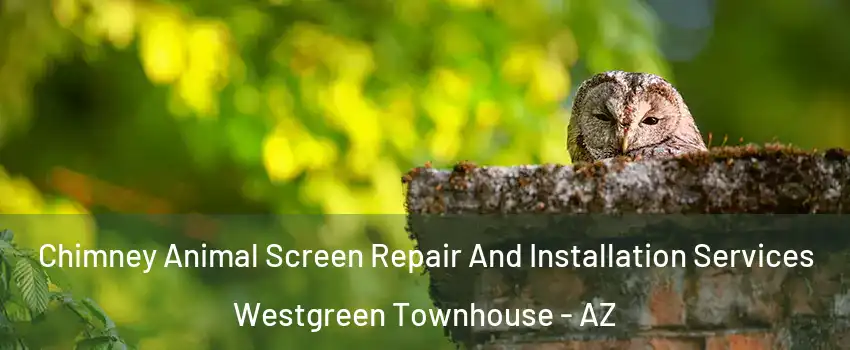Chimney Animal Screen Repair And Installation Services Westgreen Townhouse - AZ