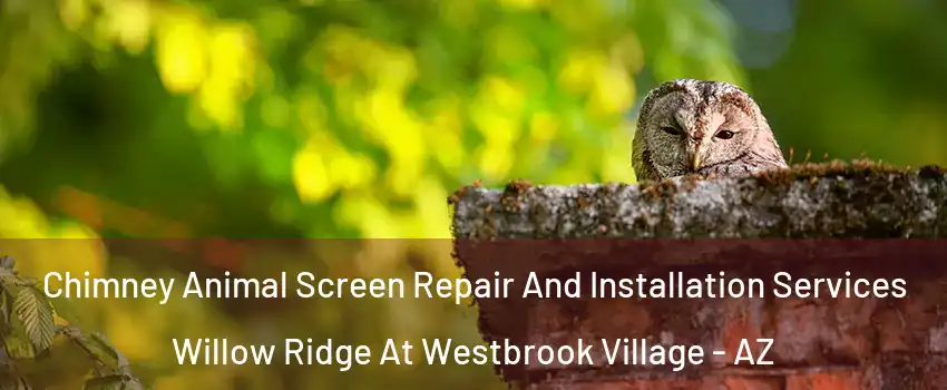 Chimney Animal Screen Repair And Installation Services Willow Ridge At Westbrook Village - AZ