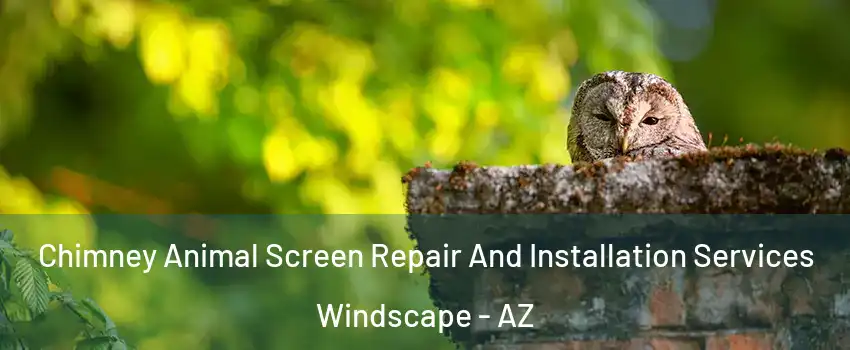Chimney Animal Screen Repair And Installation Services Windscape - AZ