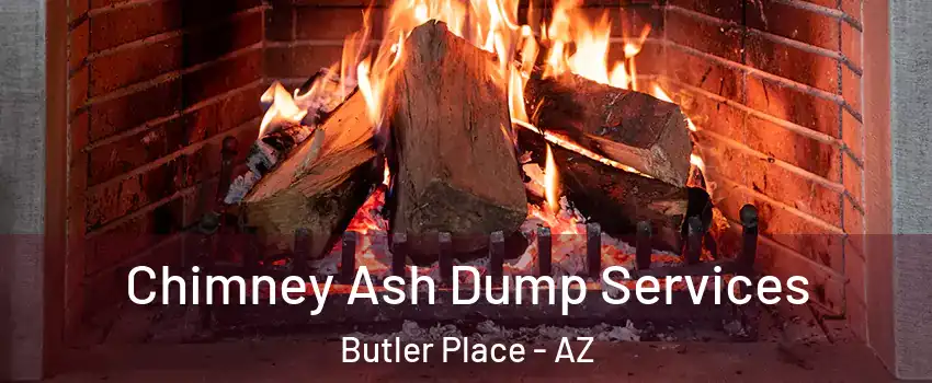 Chimney Ash Dump Services Butler Place - AZ