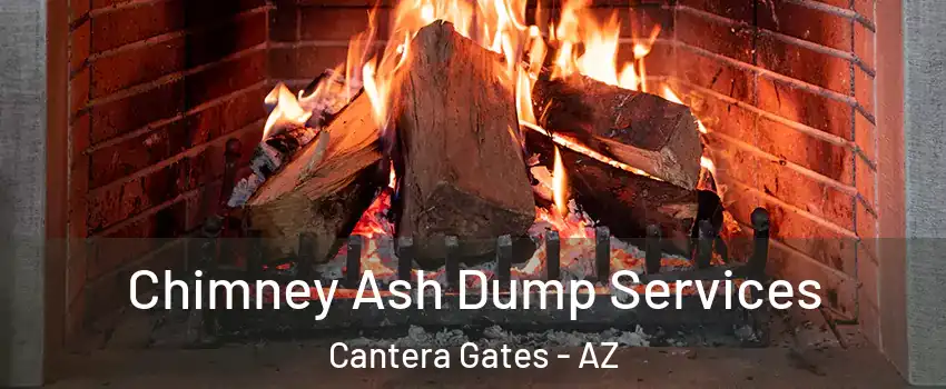 Chimney Ash Dump Services Cantera Gates - AZ