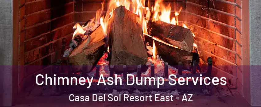 Chimney Ash Dump Services Casa Del Sol Resort East - AZ