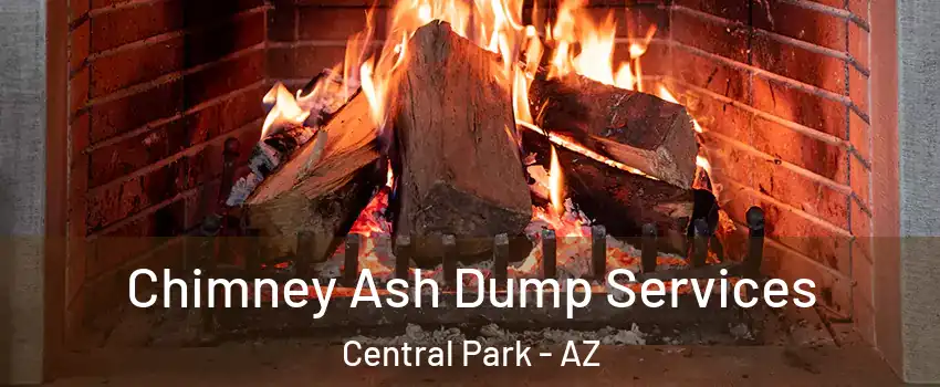Chimney Ash Dump Services Central Park - AZ