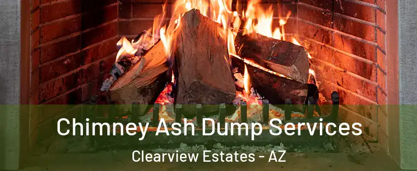 Chimney Ash Dump Services Clearview Estates - AZ