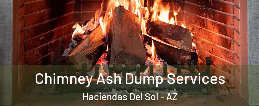 Chimney Ash Dump Services Haciendas Del Sol - AZ