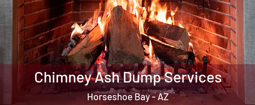 Chimney Ash Dump Services Horseshoe Bay - AZ
