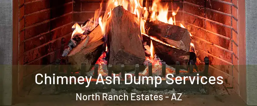 Chimney Ash Dump Services North Ranch Estates - AZ