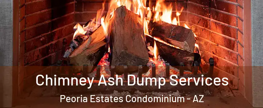 Chimney Ash Dump Services Peoria Estates Condominium - AZ