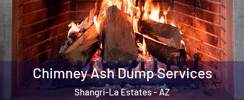 Chimney Ash Dump Services Shangri-La Estates - AZ