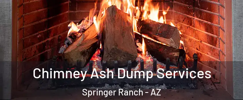 Chimney Ash Dump Services Springer Ranch - AZ
