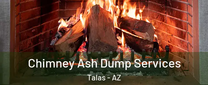Chimney Ash Dump Services Talas - AZ