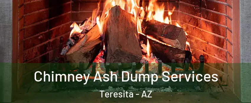 Chimney Ash Dump Services Teresita - AZ