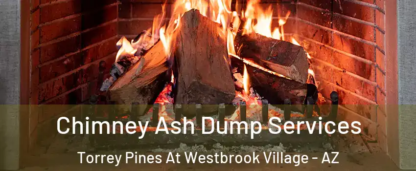 Chimney Ash Dump Services Torrey Pines At Westbrook Village - AZ