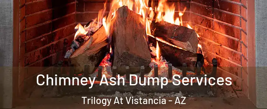 Chimney Ash Dump Services Trilogy At Vistancia - AZ