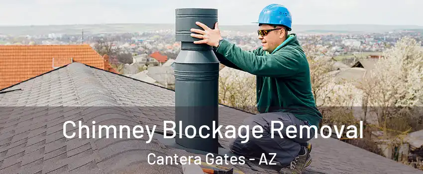 Chimney Blockage Removal Cantera Gates - AZ