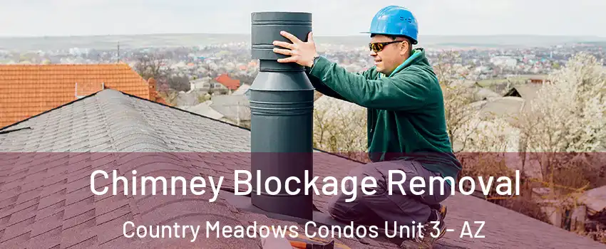 Chimney Blockage Removal Country Meadows Condos Unit 3 - AZ