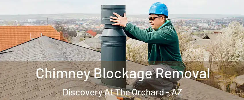 Chimney Blockage Removal Discovery At The Orchard - AZ