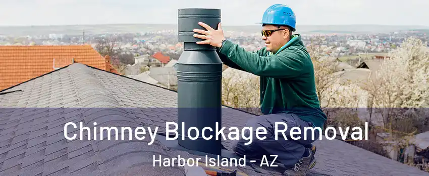 Chimney Blockage Removal Harbor Island - AZ