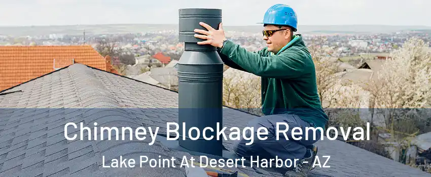 Chimney Blockage Removal Lake Point At Desert Harbor - AZ