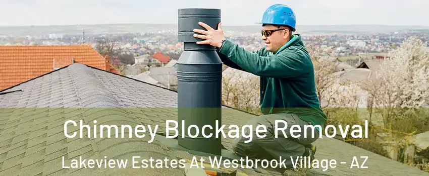 Chimney Blockage Removal Lakeview Estates At Westbrook Village - AZ