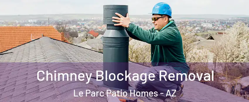 Chimney Blockage Removal Le Parc Patio Homes - AZ