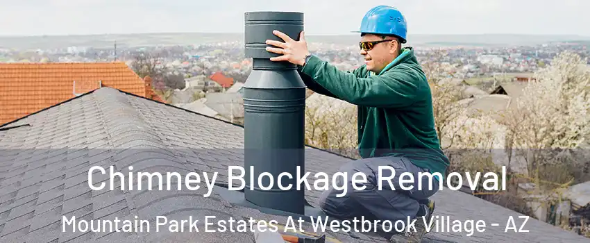 Chimney Blockage Removal Mountain Park Estates At Westbrook Village - AZ