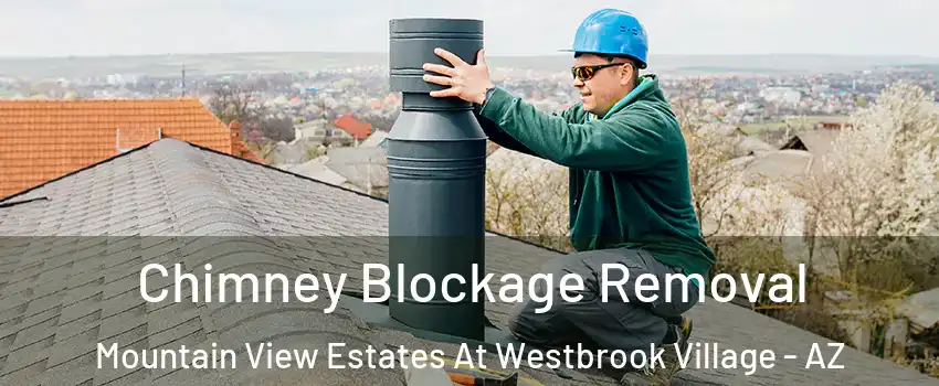 Chimney Blockage Removal Mountain View Estates At Westbrook Village - AZ