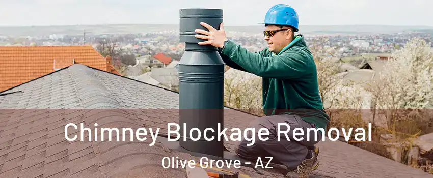 Chimney Blockage Removal Olive Grove - AZ