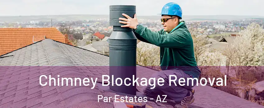 Chimney Blockage Removal Par Estates - AZ