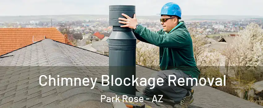 Chimney Blockage Removal Park Rose - AZ