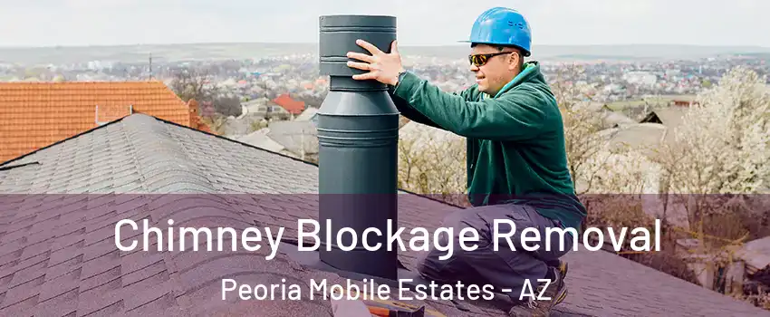 Chimney Blockage Removal Peoria Mobile Estates - AZ