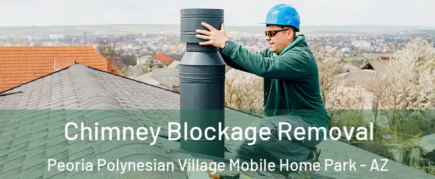 Chimney Blockage Removal Peoria Polynesian Village Mobile Home Park - AZ