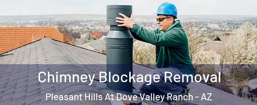 Chimney Blockage Removal Pleasant Hills At Dove Valley Ranch - AZ